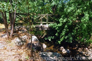 Alameda del Valle, Puente de madera sobre el arroyo de la Saúca