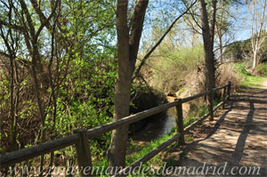 Arroyomolinos, Arroyo de Los Combos, cerca del Molino de las Isabelas