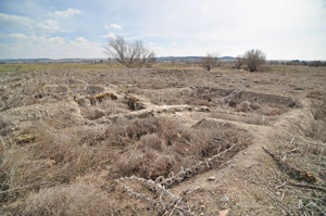 Getafe, Yacimiento de La Torrecilla