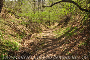 La Hiruela, Reguera en el camino a la Fuente Lugar