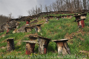 La Hiruela, Colmenas dentro del recinto del colmenar
