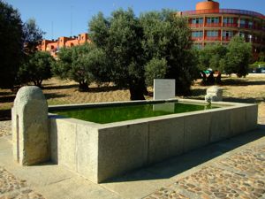 Navalcarnero, Piln del Pijorro