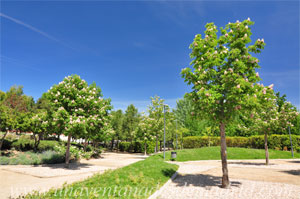 Parla, Jardn Botnico de Parla