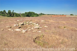 Parla, Yacimiento del Cerro de la Iglesia, al fondo, donde la vegetacin, se encuentra el arroyo de Humanejos