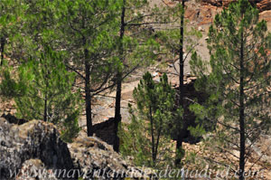 Robledillo de la Jara, Restos del antiguo puente, sobre el ro del Riato, por el que pasaba el camino de Robledillo a El Atazar