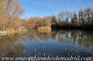 Valdetorres de Jarama, Charca El Soto