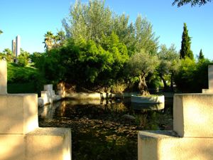 Jardn de las Tres Culturas, Estanque del Jardn Judo