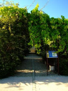 Jardn de las Tres Culturas, Vid