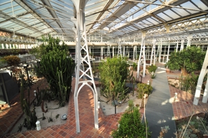 Invernadero de Arganzuela, Zona de Clima Desrtico