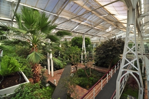 Invernadero de Arganzuela, Zona de Clima Subtropical