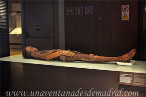 Museo Arqueolgico Nacional, Restos momificados de un hombre