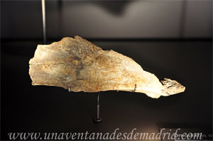 Museo Arqueológico Nacional, Omoplato de ciervo grabado
