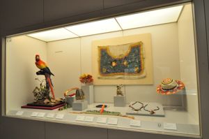 Museo de Amrica, Amazonia