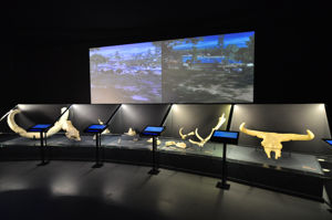 Museo de San Isidro. Los orígenes de Madrid, Restos paleontológicos datados en el Pleistoceno Superior y el Pleistoceno Medio