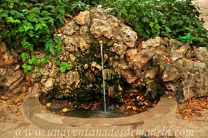 Quinta de la Fuente del Berro, Estanque para Patos