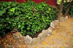 Quinta de la Fuente del Berro, Estanque para Patos