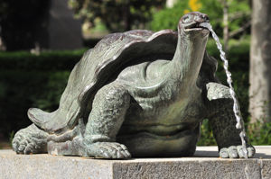 Fuente de Cuba, Galpago sobre el piln delantero izquierdo