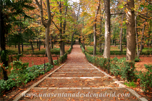 El Jardn de los Planteles en El Retiro