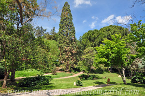 Retiro, Jardn de Vivaces