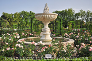 Jardines de la Rosaleda en El Retiro, Fuente del Amorcillo o de Cupido