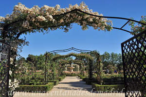 Jardines de la Rosaleda en El Retiro