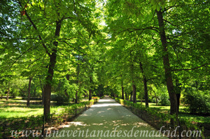 La Chopera y el Bosque del Rercuerdo en El Retiro, rea donde se levantaba el antiguo Jardn de San Pablo