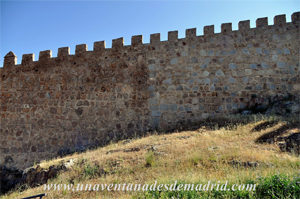 Lienzo de muralla situado entre los torreones 54 y 55