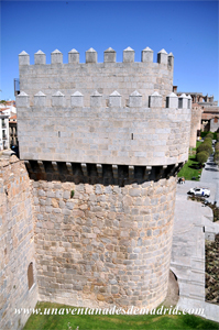 Lateral Sur de la Torre del Homenaje