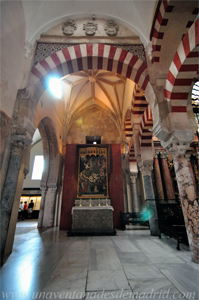 Escudos de los papas Nicols V, Calisto III y Po II, y bveda gtica de la Capilla de San Antoln y San Antonino. En la actualidad, su lateral Sur est ocupada por el Altar de San Juan Bautista y de la Encarnacin (98) como podemos ver en esta fotografa