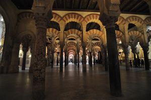 Mezquita de Crdoba, Bosque de columnas