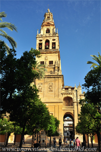 Catedral - Mezquita de Crdoba, Torre - Campanario de la Catedral desde el Patio de los Naranjos