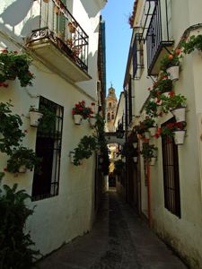 Crdoba, Calleja de las flores