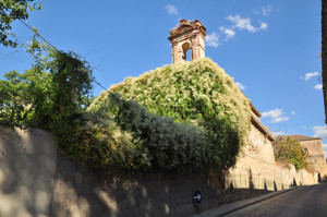Segovia, Ruinas de la Capilla del antiguo Hospital de Convalecientes