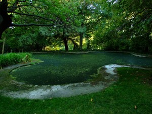 Parque de El Capricho, Estanque de los Cisnes