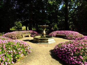 Parque de El Capricho, Fuente