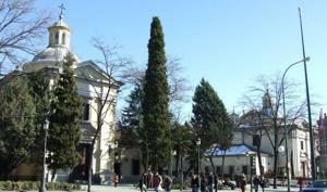 San Antonio de la Florida, Vista de la iglesia y el museo (izquierda)