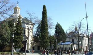 San Antonio de la Florida, Vista de la iglesia y el museo (izquierda)