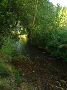 Talamanca de Jarama, Caz que pasa bajo el Puente Romano