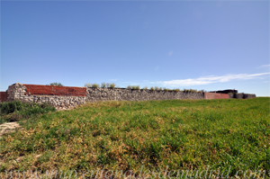 Torrejn de Velasco, Tapia del antiguo Convento de Trinitarios Descalzos