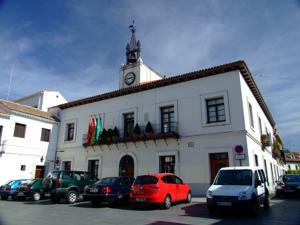 Villaviciosa de Odn, Ayuntamiento